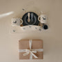 Deluxe Whales/Tradewinds Feeding Kit