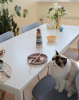 A fluffy white and brown cat sits on a chair at a dining table with children's toys, dishes, and a stackable toy. A child’s hand reaches for the mushie Dinnerware Fork and Spoon Set. Bright plants and flowers bloom in the background.