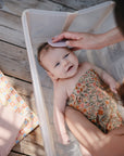 Cradle Cap Brushes