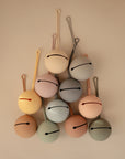 Silicone Pacifier Case