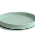 Classic Silicone Suction Plate