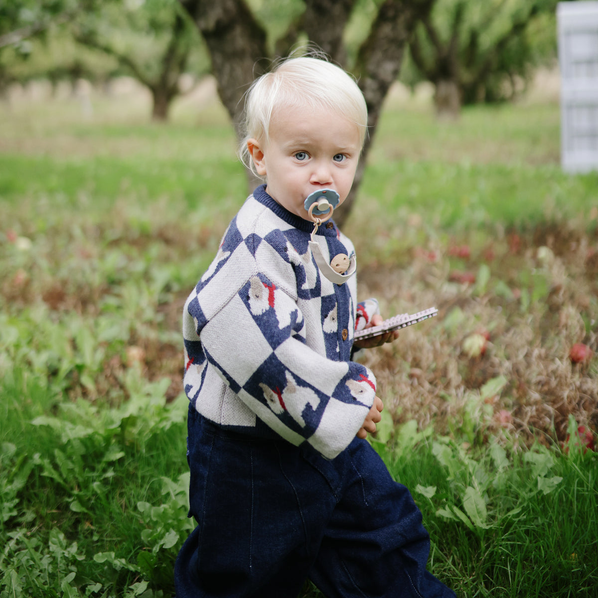 Toddler with mushie Linen Pacifier Clip 2-Pack holds a notepad in a grassy orchard, wearing sweater.