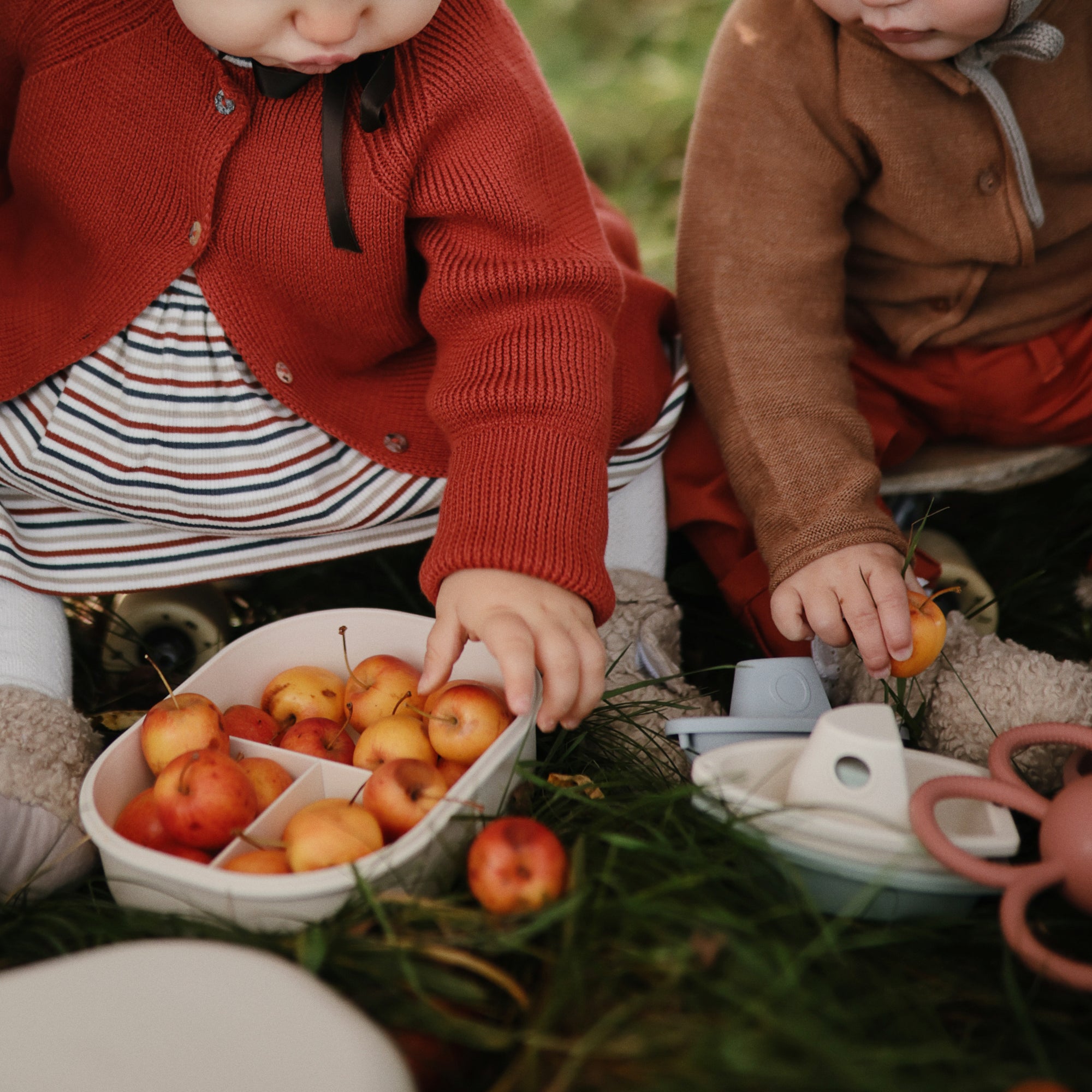 Two toddlers on grass reach for apples in a mushie Lunchbox with built-in compartments.