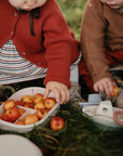 Two toddlers on grass reach for apples in a mushie Lunchbox with built-in compartments.