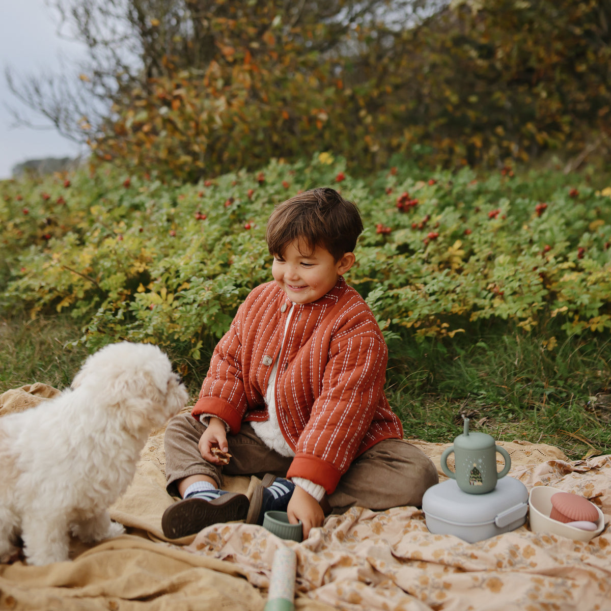 A child sits on a blanket with a small white dog and a Mushie Silicone Training Cup + Straw.