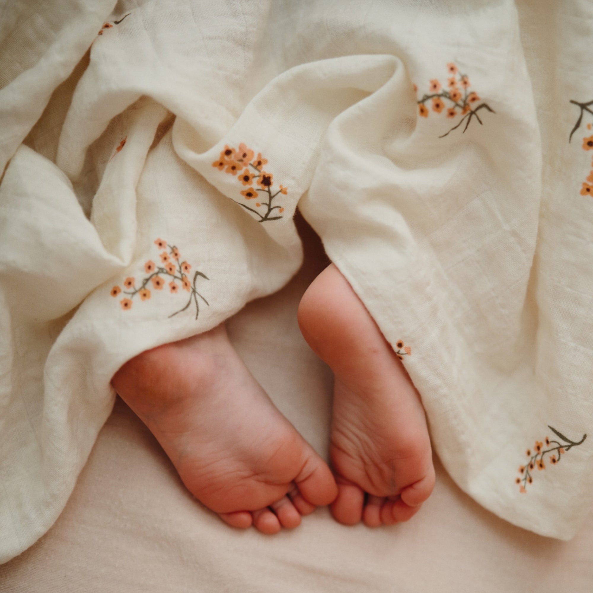 Organic Cotton Muslin Swaddle Blanket